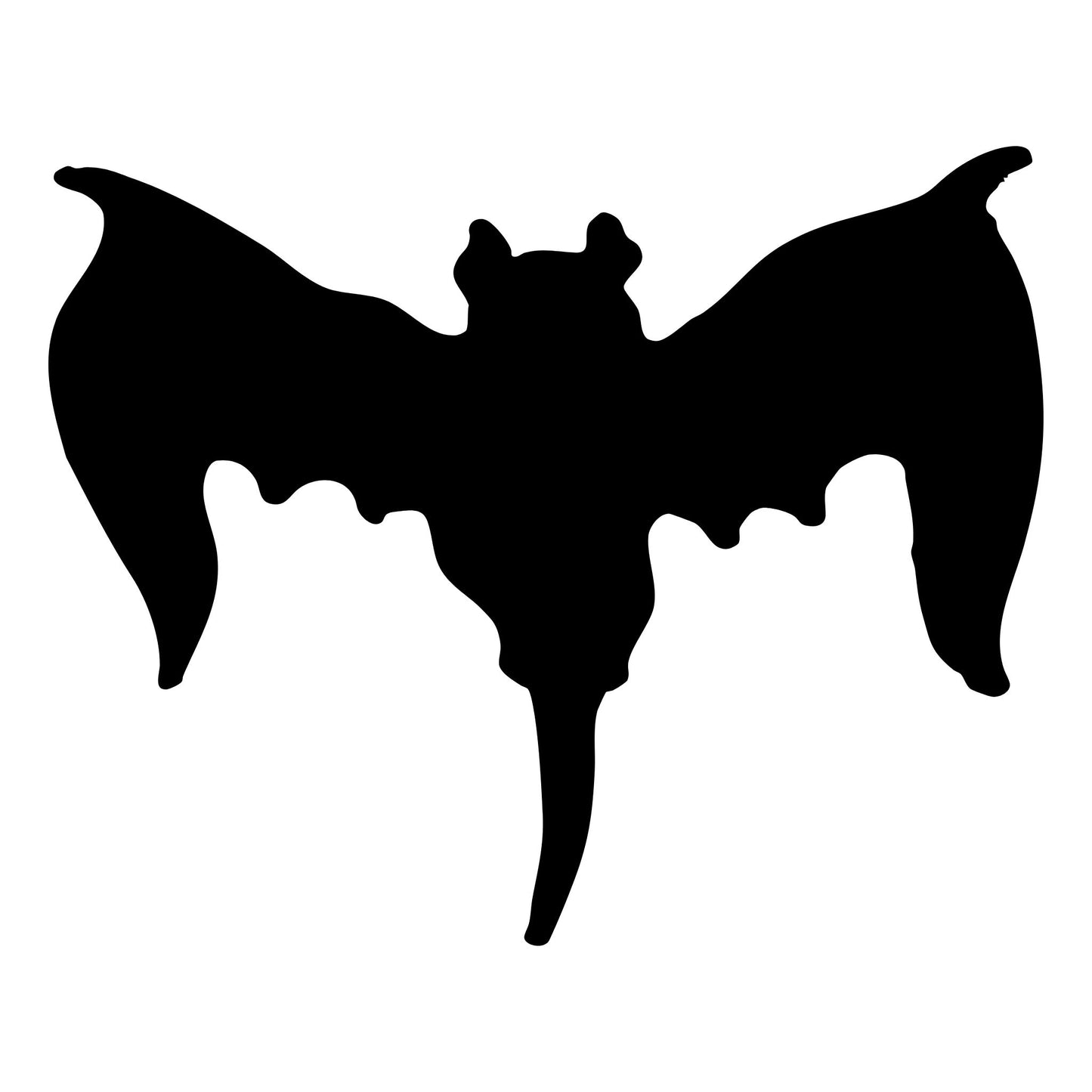 D02B The Blank Bat